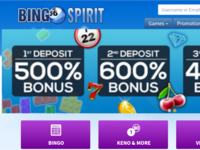 Bingo Spirit Online